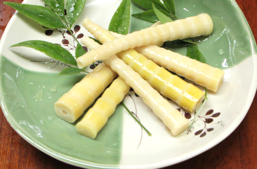 Sasanoko (bamboo shoot) dishes The Ultimates of Gifu