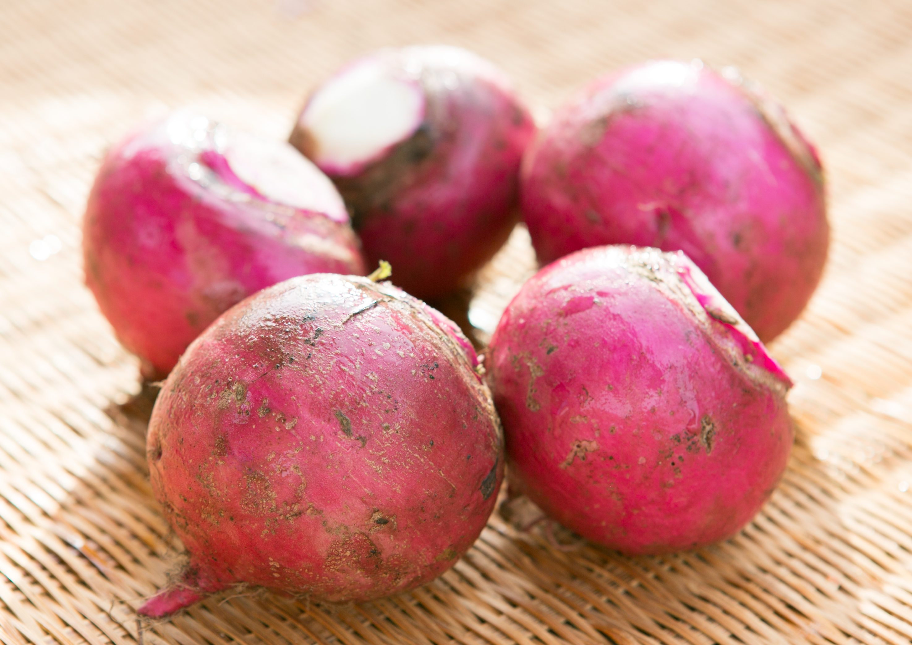 Hida beni kabu (red turnip) The Ultimates of Gifu